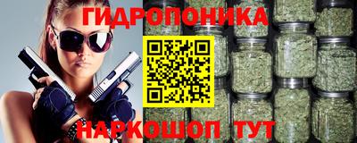 индика Шебекино