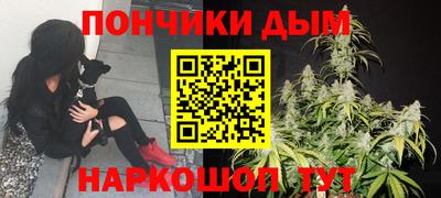 индика Шебекино