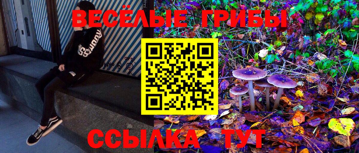 Будённовск  Псилоцибиновые грибы MAGIC MUSHROOMS  Вход с VPN 