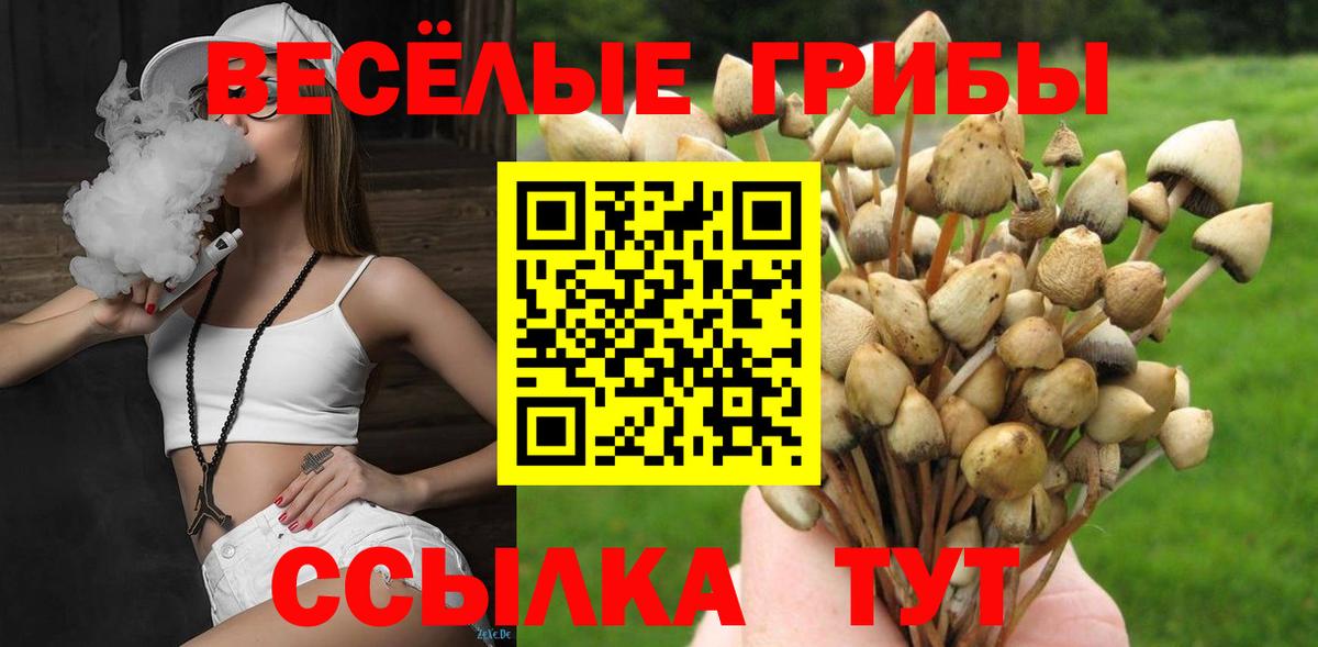 Псилоцибиновые грибы мухоморы Будённовск